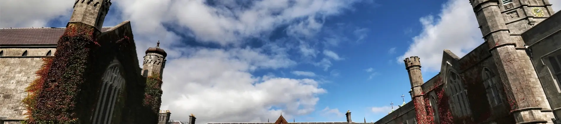 Law (BCL) and Business